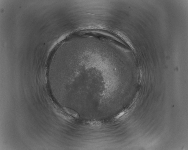 X0000074040395200608281450