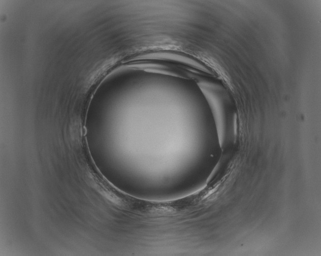 X0000074040397200608281450