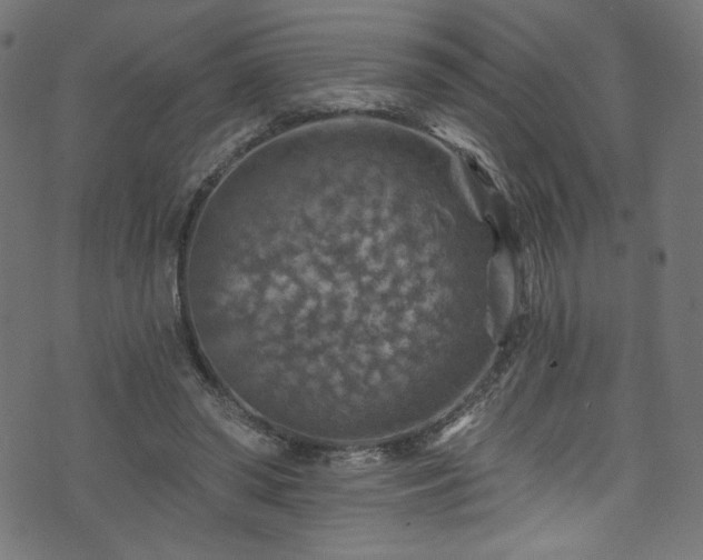 X0000074040398200608281450