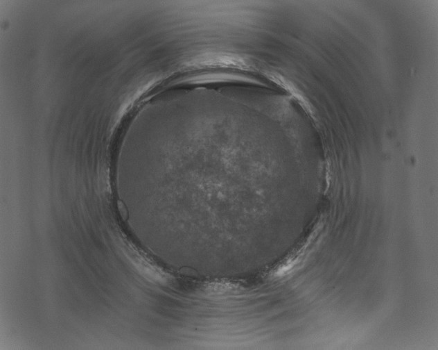 X0000074040399200608281450