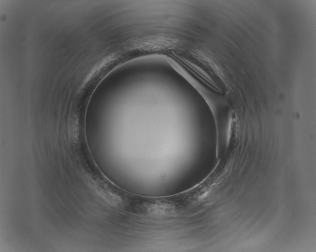 X0000074040400200608281450