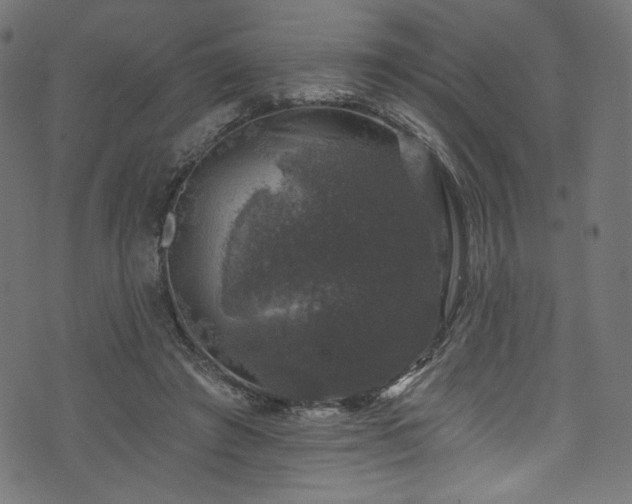 X0000074040401200608281450