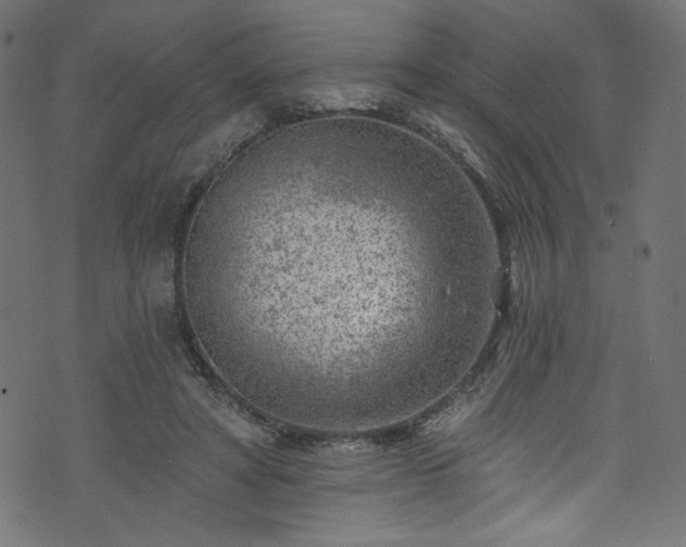 X0000074040402200608281450