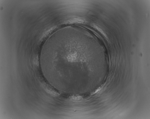 X0000074040403200608281450