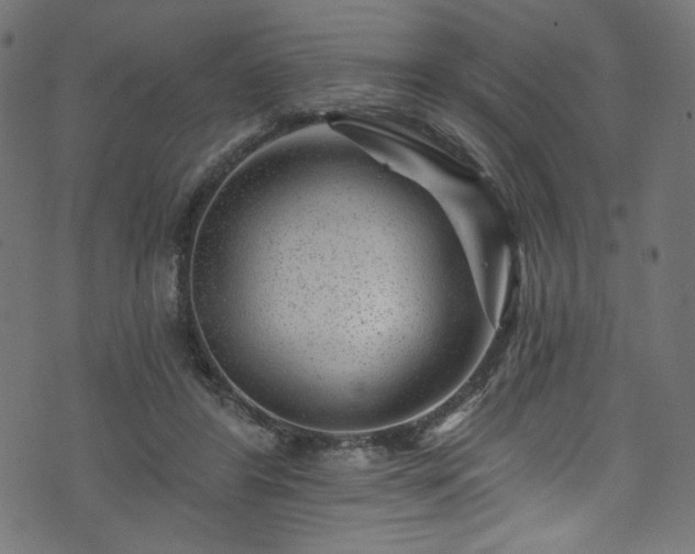 X0000074040404200608281450