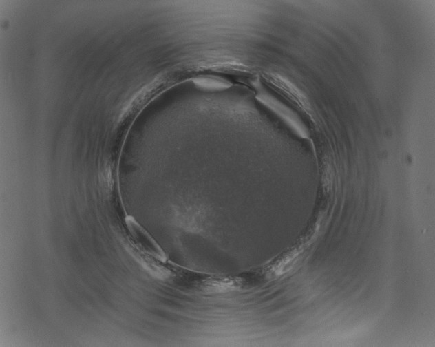 X0000074040405200608281450