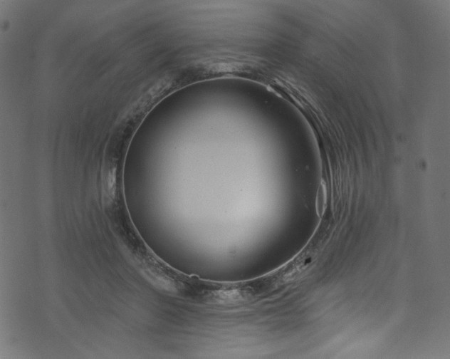 X0000074040406200608281449