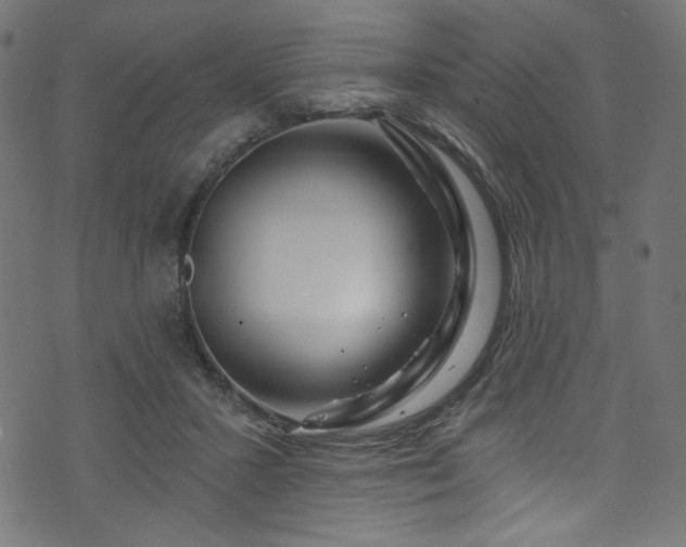 X0000074040407200608281449