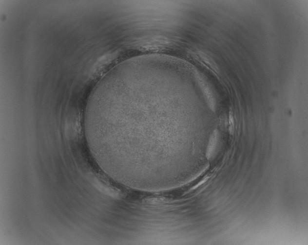 X0000074040408200608281449