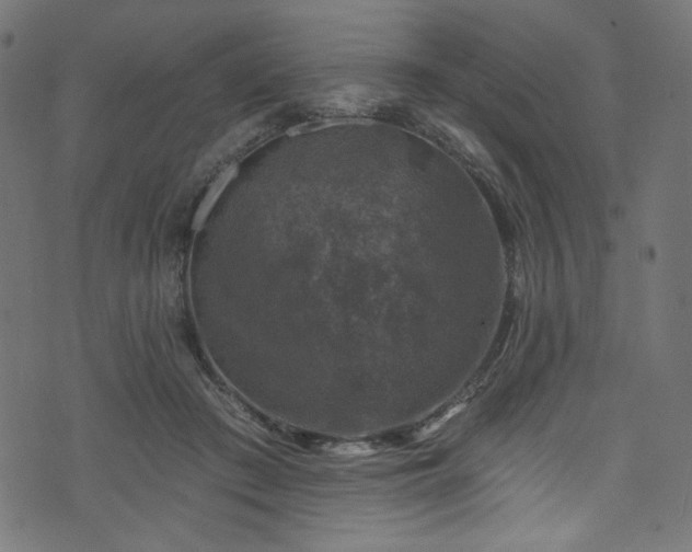 X0000074040409200608281449