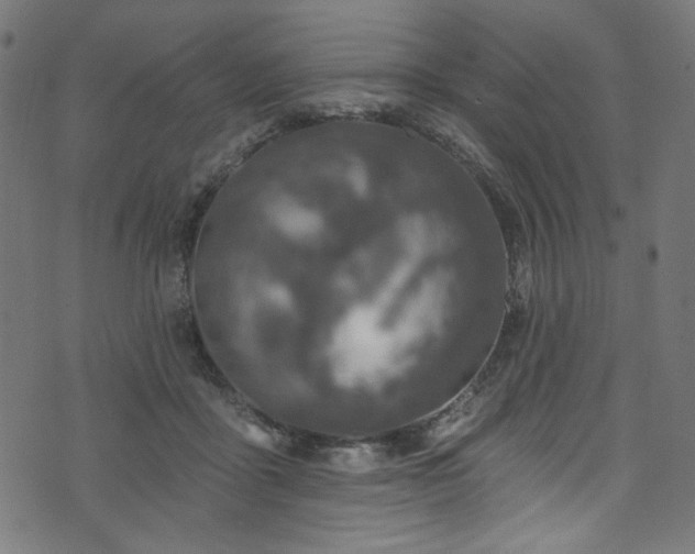 X0000074040411200608281449