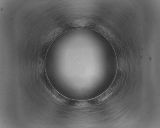 X0000074040414200608281449