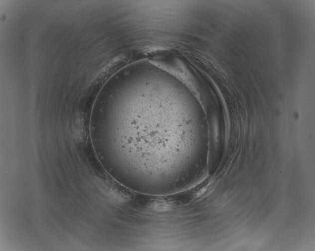 X0000074040416200608281449