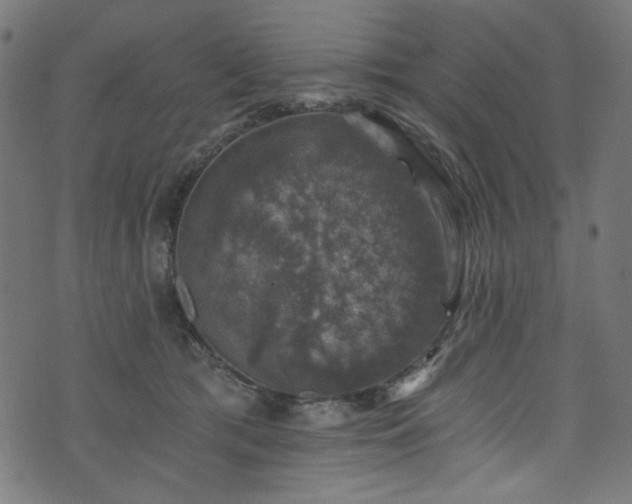 X0000074040417200608281449