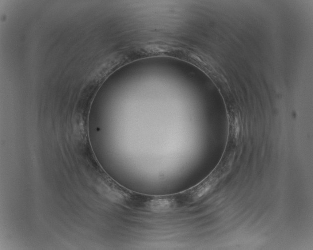 X0000074040418200608281449