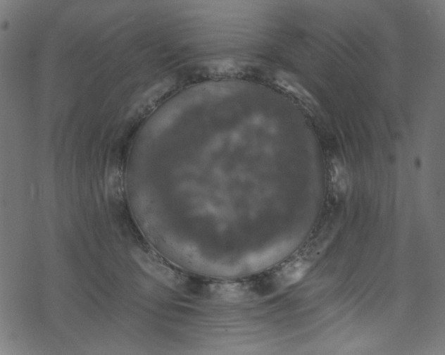 X0000074040419200608281449