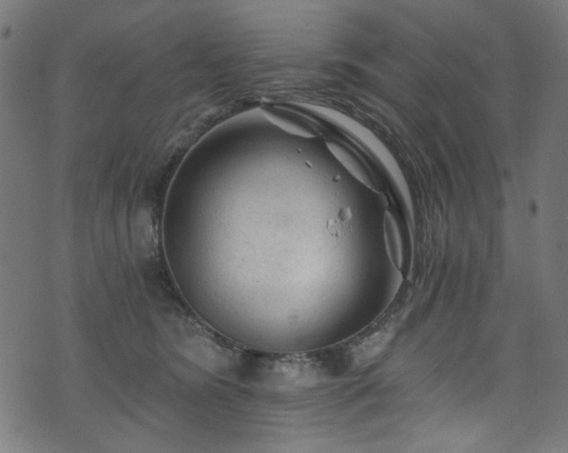 X0000074040420200608281449