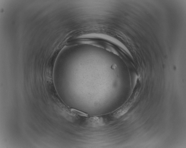 X0000074040421200608281449