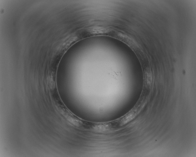 X0000074040422200608281449