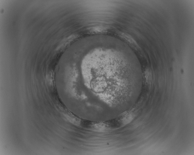 X0000074040423200608281449