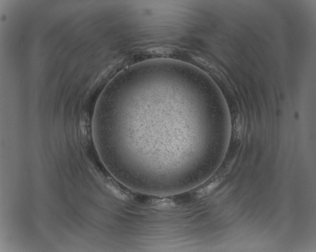 X0000074040424200608281449