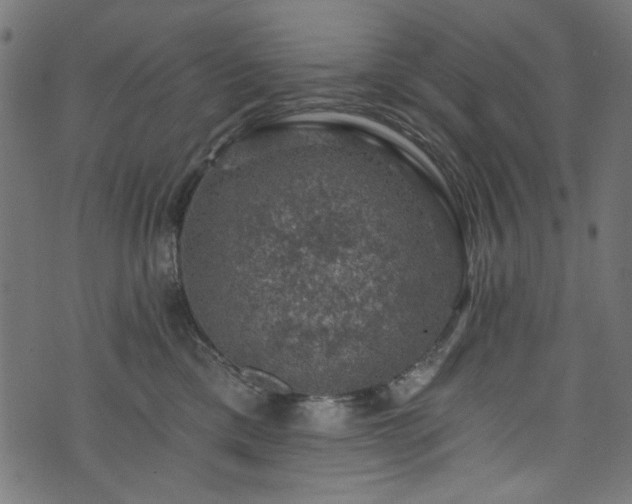 X0000074040425200608281449