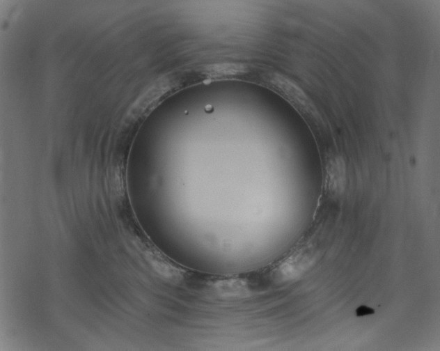 X0000074040426200608281449