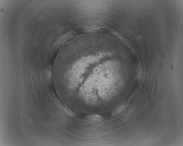 X0000074040427200608281449