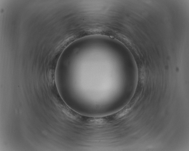 X0000074040428200608281449