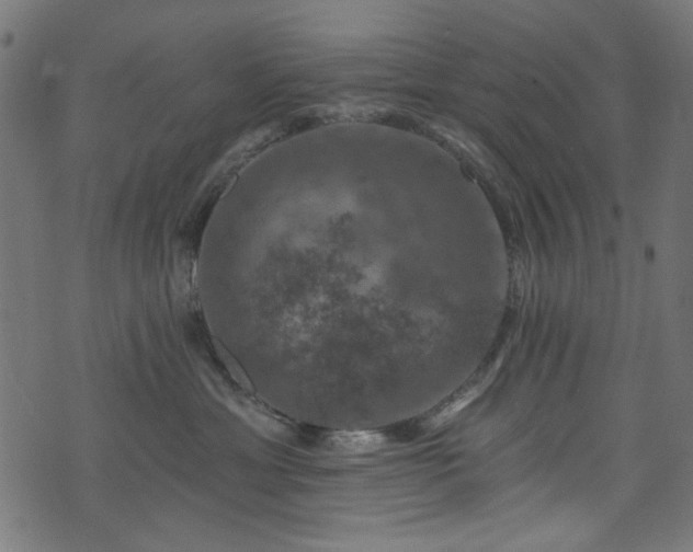 X0000074040429200608281449