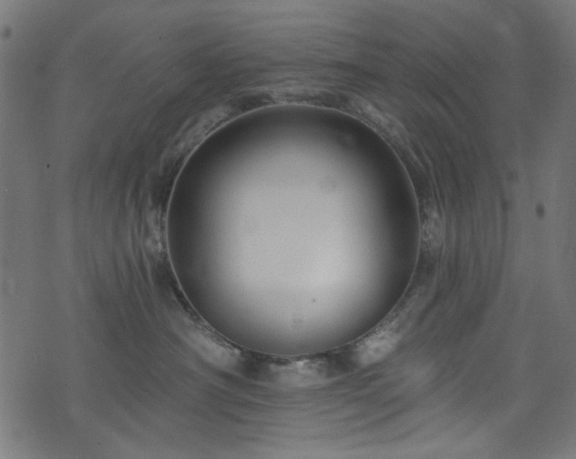 X0000074040430200608281449