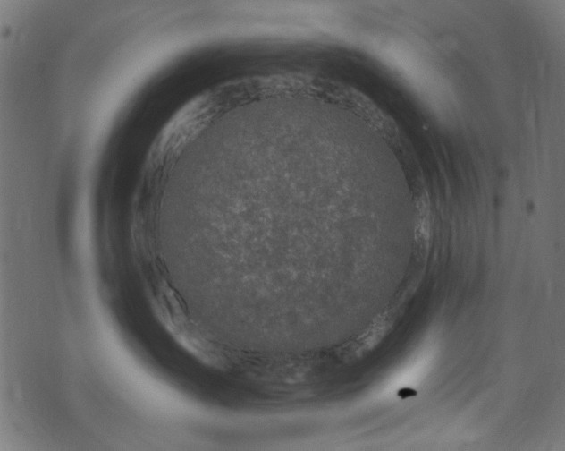 X0000074040431200608281449