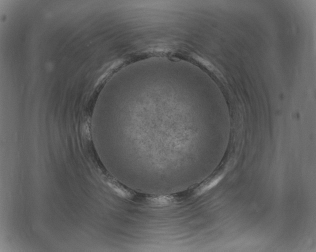 X0000074040432200608281449