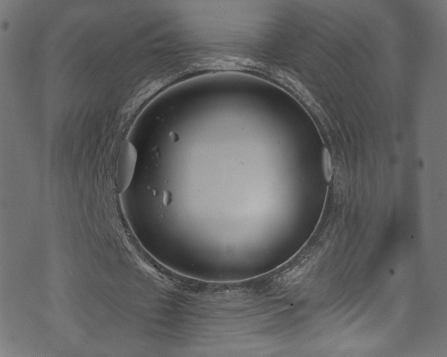 X0000074040433200608281448