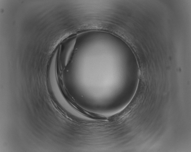 X0000074040434200608281448