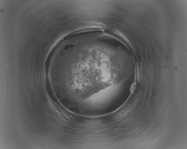 X0000074040435200608281448