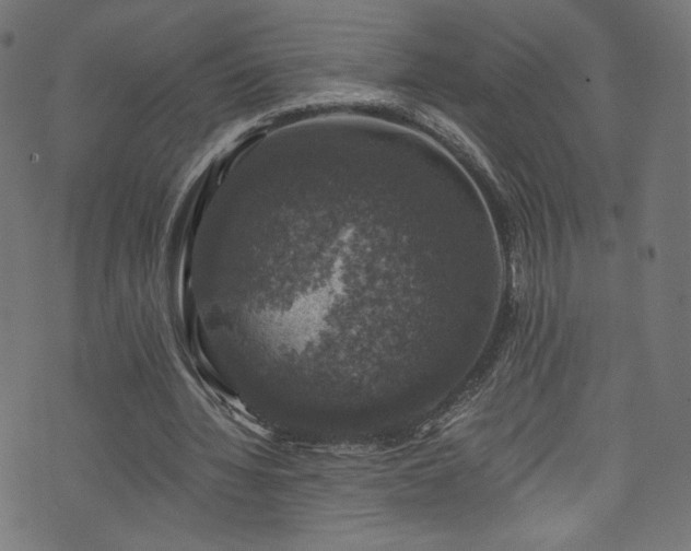 X0000074040436200608281448