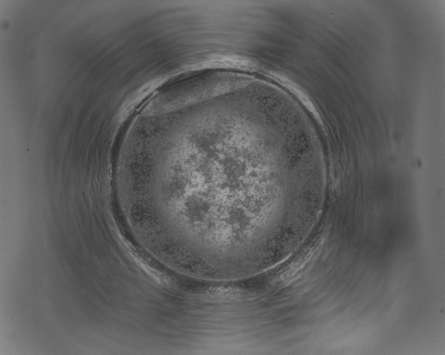 X0000074040437200608281448