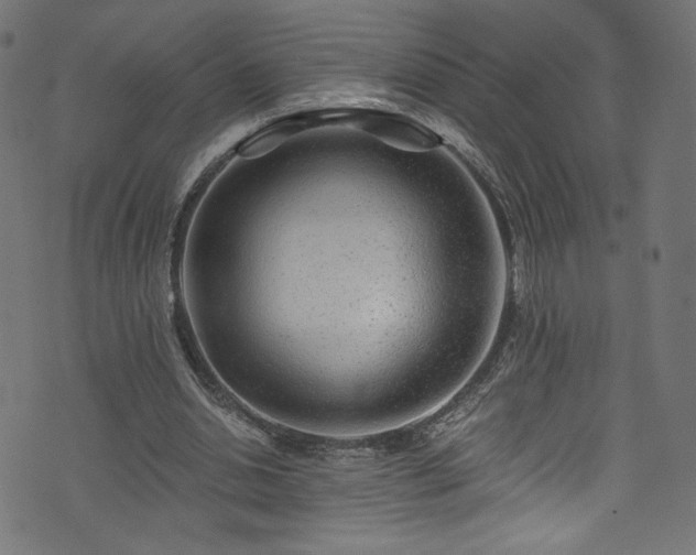 X0000074040438200608281448