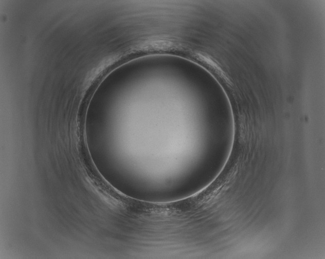 X0000074040439200608281448