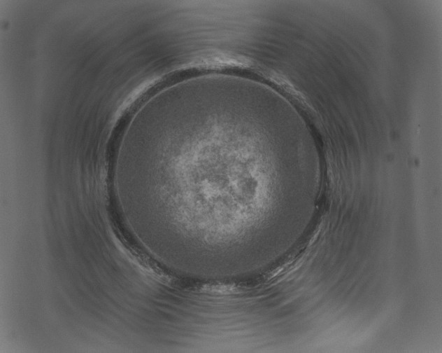 X0000074040440200608281448