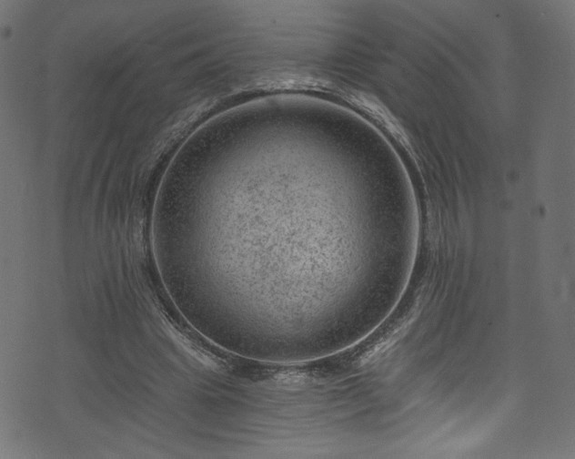 X0000074040441200608281448