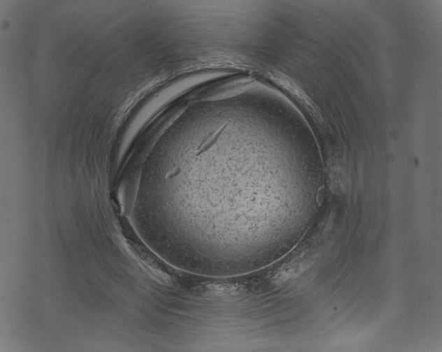 X0000074040442200608281448