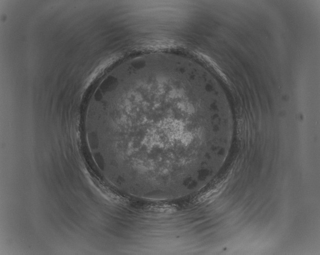 X0000074040443200608281448