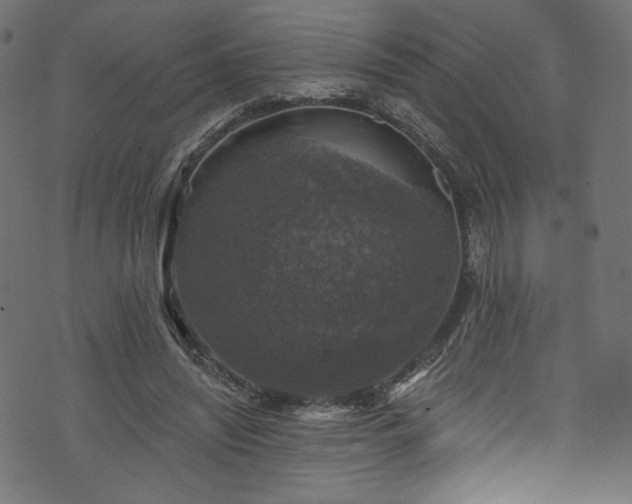 X0000074040444200608281448