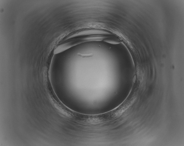 X0000074040445200608281448