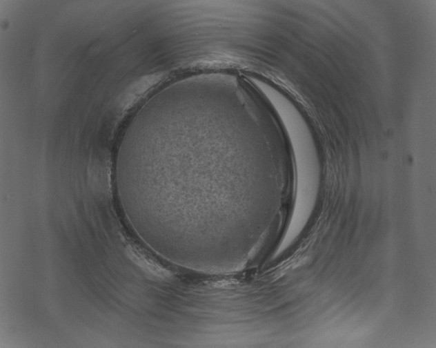 X0000074040446200608281449