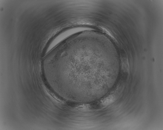 X0000074040447200608281449