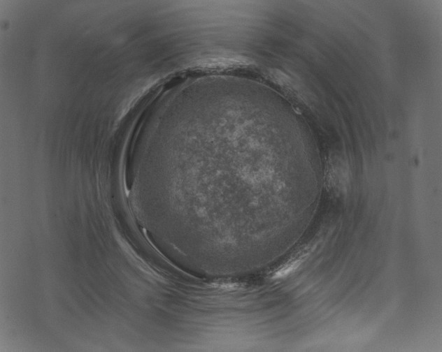 X0000074040448200608281449