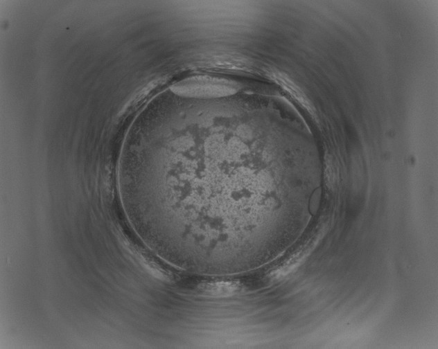 X0000074040449200608281449